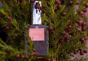 030 Erlithe Boronia perfume